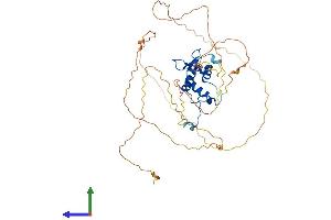Protein Structure (PS) image for ELK4, ETS-Domain Protein (SRF Accessory Protein 1) (ELK4) (AA 1-431) protein (His tag) (ABIN7547346)
