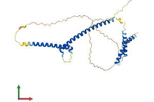 AlphaFold protein structure predicition of Mouse Recombinant Mlx Protein, UniprotID O08609