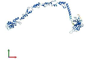AlphaFold protein structure predicition of Human Recombinant TRAF4 Protein, UniprotID Q9BUZ4