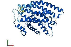 AlphaFold protein structure predicition of Mouse Recombinant Mtnd1 Protein, UniprotID P03888