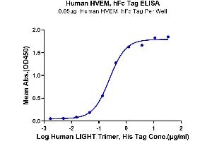 ELISA image for Tumor Necrosis Factor Receptor Superfamily, Member 14 (TNFRSF14) (AA 39-202) protein (Fc Tag) (ABIN7274832)