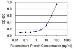 Detection limit for recombinant GST tagged TEX28 is 0. (TEX28 抗体  (AA 1-410))