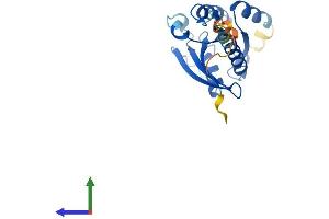 Protein Structure (PS) image for RAB38, Member RAS Oncogene Family (RAB38) (AA 1-211) protein (His tag) (ABIN7559607)