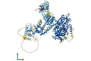 AlphaFold protein structure predicition of Mouse Recombinant Tbc1d8 Protein, UniprotID Q9Z1A9
