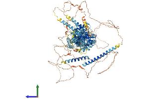Protein Structure (PS) image for Sterol Regulatory Element Binding Transcription Factor 1 (SREBF1) (AA 1-1147) protein (His tag) (ABIN7555626)