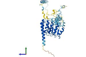 Protein Structure (PS) image for Tropomodulin 1 (TMOD1) (AA 1-359) protein (His tag) (ABIN7544422)