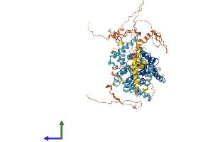 Protein Structure (PS) image for Solute Carrier Family 9 (Sodium/hydrogen Exchanger), Member 3 (SLC9A3) (AA 1-834) protein (His tag) (ABIN7555536)