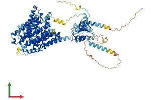 Protein Structure (PS) image for Solute Carrier Family 26, Member 5 (Prestin) (SLC26A5) (AA 1-744) protein (His tag) (ABIN7564920)