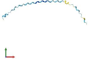 AlphaFold protein structure predicition of Human Recombinant SPRR2E Protein, UniprotID P22531