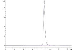 Size-exclusion chromatography-High Pressure Liquid Chromatography (SEC-HPLC) image for Interleukin 21 Receptor (IL21R) (AA 41-254) protein (His tag) (ABIN7275007)