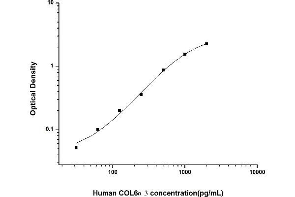 COL6a3 ELISA 试剂盒