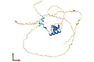 Protein Structure (PS) image for NK1 Homeobox 2 (NKX1-2) (AA 1-305) protein (His tag) (ABIN7563245)