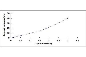 Typical standard curve (Osteocalcin ELISA 试剂盒)