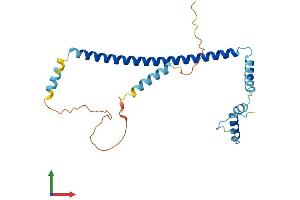 Protein Structure (PS) image for Clathrin, Light Chain B (CLTB) (AA 1-229) protein (His tag) (ABIN7557933)