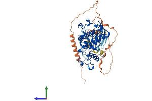 Protein Structure (PS) image for Cyclin-Dependent Kinase 14 (CDK14) (AA 1-469) protein (His tag) (ABIN7562332)
