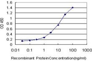 Detection limit for recombinant GST tagged SERPINB2 is approximately 0. (SERPINB2 抗体  (AA 1-100))