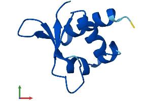 Protein Structure (PS) image for Costars family protein ABRACL (ABRACL) (AA 1-81) protein (Fc Tag) (ABIN7557390)