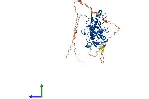 AlphaFold protein structure predicition of Human Recombinant PHF7 Protein, UniprotID Q9BWX1