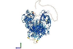 Protein Structure (PS) image for Aquarius Homolog (AQR) (AA 1-1481) protein (His tag) (ABIN7564560)