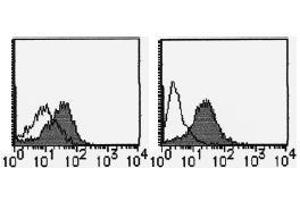 Flow Cytometry (FACS) image for anti-Alanyl (Membrane) Aminopeptidase (ANPEP) antibody (ABIN1449277) (CD13 抗体)