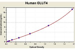Diagramm of the ELISA kit to detect Human GLUT4with the optical density on the x-axis and the concentration on the y-axis.