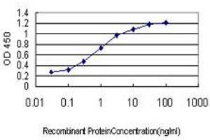 Detection limit for recombinant GST tagged NEUROD1 is approximately 0. (NEUROD1 抗体  (AA 201-300))