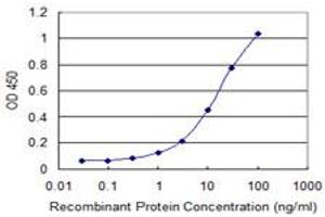 Detection limit for recombinant GST tagged TNIK is 0. (TNIK 抗体  (AA 1-110))