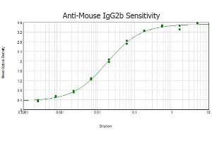 ELISA results of purified Rabbit anti-Mouse IgG2b (Gamma 2B Chain) antibody tested against purified Mouse IgG2b. (兔 anti-小鼠 IgG2b (Heavy Chain) Antibody - Preadsorbed)