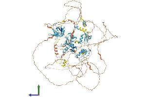 Protein Structure (PS) image for Zinc Finger Protein, Multitype 1 (ZFPM1) (AA 1-995) protein (His tag) (ABIN7562342)