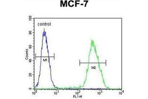 Flow cytometric analysis of MCF-7 cells using LMO4 Antibody (Center) Cat. (LMO4 抗体  (Middle Region))
