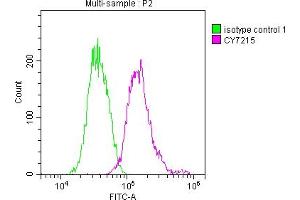 Overlay histogram showing Jurkat cells stained with ABIN7127335 (red line) at 1:50. (Recombinant ALIX 抗体)