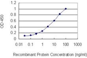 Detection limit for recombinant GST tagged FRMD3 is 0. (FRMD3 抗体  (AA 393-480))