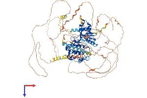 SIK2 Protein (AA 1-931) (His tag)
