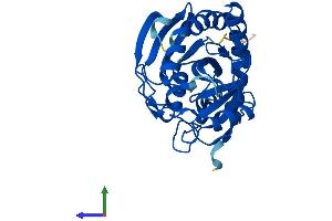 Protein Structure (PS) image for Methylthioadenosine phosphorylase (MTAP) (AA 1-283) protein (His tag) (ABIN7560514)