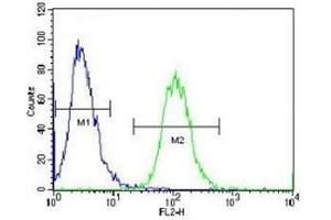 Aurora-A antibody flow cytometric analysis of HeLa cells (green) compared to a negative control (blue). (Aurora A 抗体  (AA 364-392))
