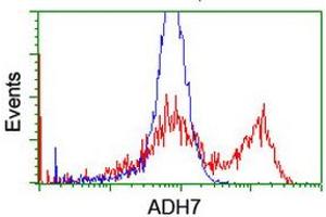 Flow Cytometry (FACS) image for anti-Alcohol Dehydrogenase 7 (Class IV), mu Or sigma Polypeptide (ADH7) antibody (ABIN1496482) (ADH7 抗体)