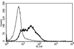 Flow Cytometry (FACS) image for anti-CD82 (CD82) antibody (ABIN1106588) (CD82 抗体)
