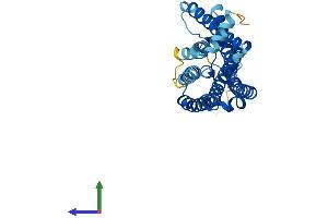 Protein Structure (PS) image for Olfactory Receptor 3A3 (OR3A3) (AA 1-321) protein (His tag) (ABIN7550519)