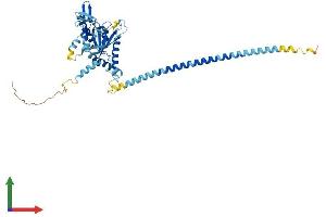 Protein Structure (PS) image for Septin 14 (SEPT14) (AA 1-432) protein (His tag) (ABIN7545915)