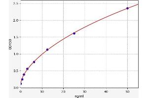 Typical standard curve (Cadherin 5 ELISA 试剂盒)