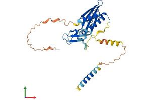 Protein Structure (PS) image for Receptor (Chemosensory) Transporter Protein 1 (RTP1) (AA 1-263) protein (His tag) (ABIN7559196)