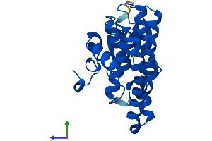 AlphaFold protein structure predicition of Human Recombinant GSTZ1 Protein, UniprotID O43708