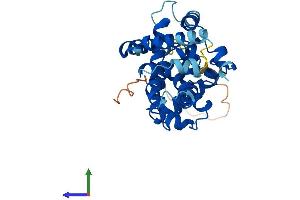 AlphaFold protein structure predicition of Human Recombinant CCNH Protein, UniprotID P51946