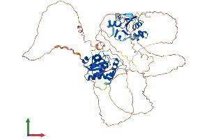 Protein Structure (PS) image for Dual Specificity Phosphatase 16 (DUSP16) (AA 1-665) protein (His tag) (ABIN7547179)