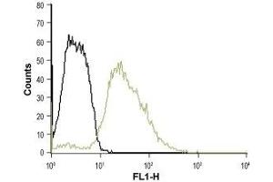 Cell surface detection of Serotonin receptor 3B in K562 intact living cells: (black line) Unstained cells (green line) Cells + Anti-5HT3B Receptor (HTR3B) (extracellular)-ATTO Fluor-488 Antibody, (ABIN7043623), (5-10 μg/0. (Serotonin Receptor 3B 抗体  (Extracellular) (Atto 488))