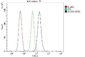 Flow Cytometry analysis of THP-1 cells using anti-S100A4 antibody (ABIN7600462). (s100a4 抗体  (AA 2-101))
