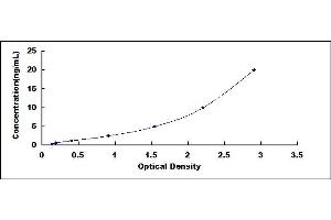Typical standard curve (SDHB ELISA 试剂盒)
