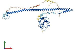 Protein Structure (PS) image for B-Box and SPRY Domain Containing (BSPRY) (AA 1-473) protein (His tag) (ABIN7558449)