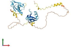 Protein Structure (PS) image for Solute Carrier Family 9 (Sodium/hydrogen Exchanger), Member 3 Regulator 2 (SLC9A3R2) (AA 1-337) protein (His tag) (ABIN7549757)