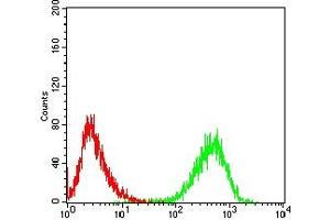 Flow Cytometry (FACS) image for anti-CD99 (CD99) (AA 1-185) antibody (ABIN7193656)